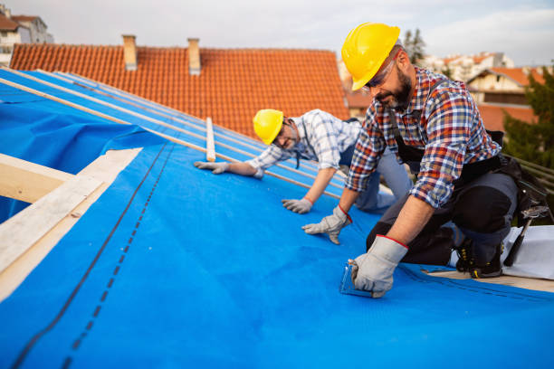 Best Roof Insulation Installation  in Mledgevle, IL