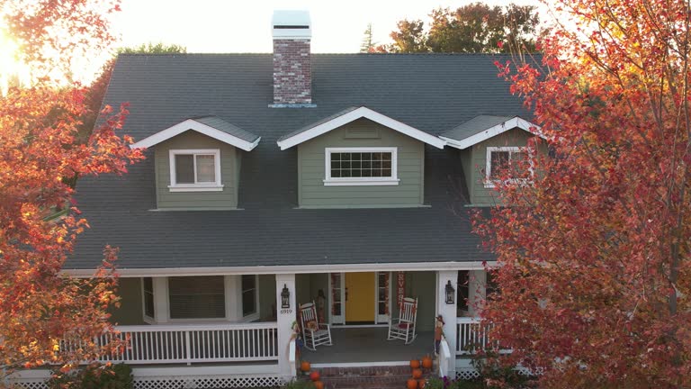Best Asphalt Shingle Roofing  in Mledgevle, IL