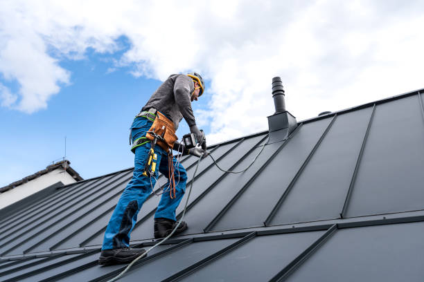 Best Roof Coating and Sealing  in Mledgevle, IL