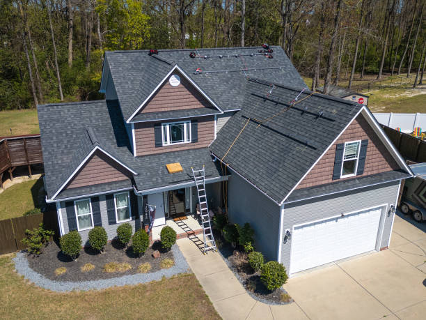 Best Roof Moss and Algae Removal  in Mledgevle, IL